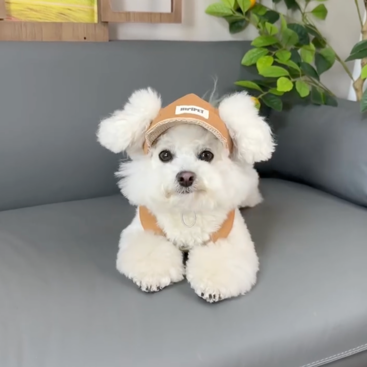 Viral Cozy Outfit