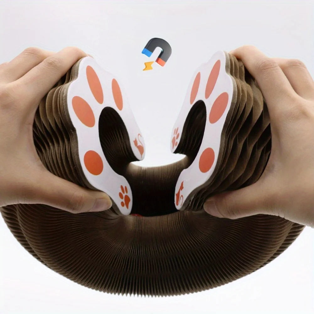 Scratch Accordeon