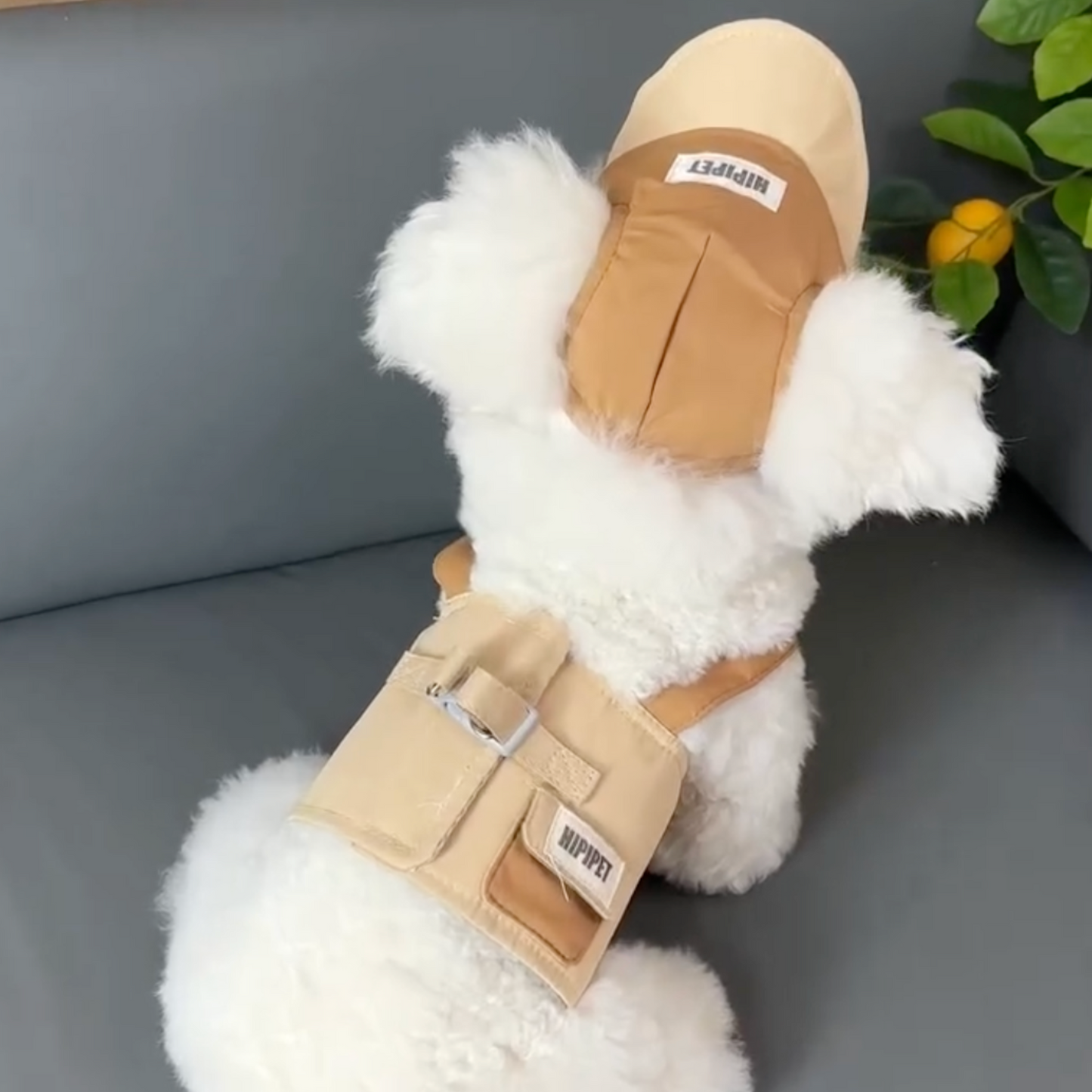 Viral Cozy Outfit