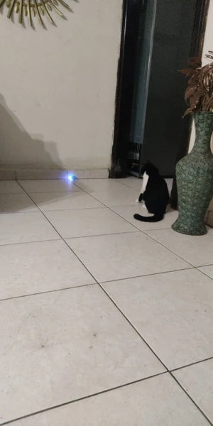 After - Love the toy!