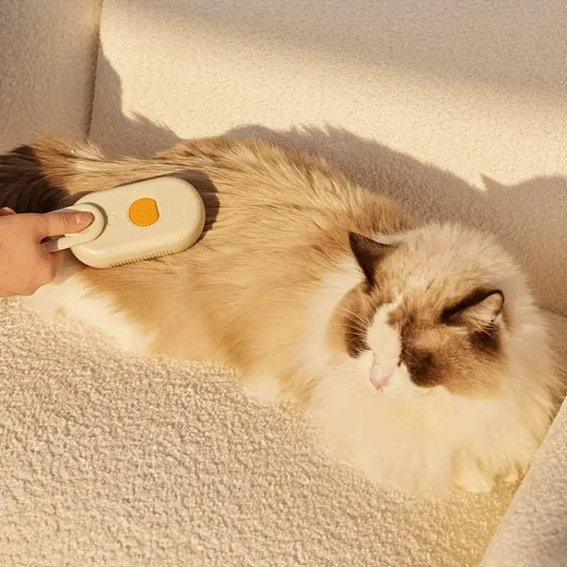 Steambrush