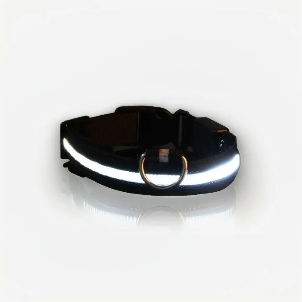 Collar luminoso