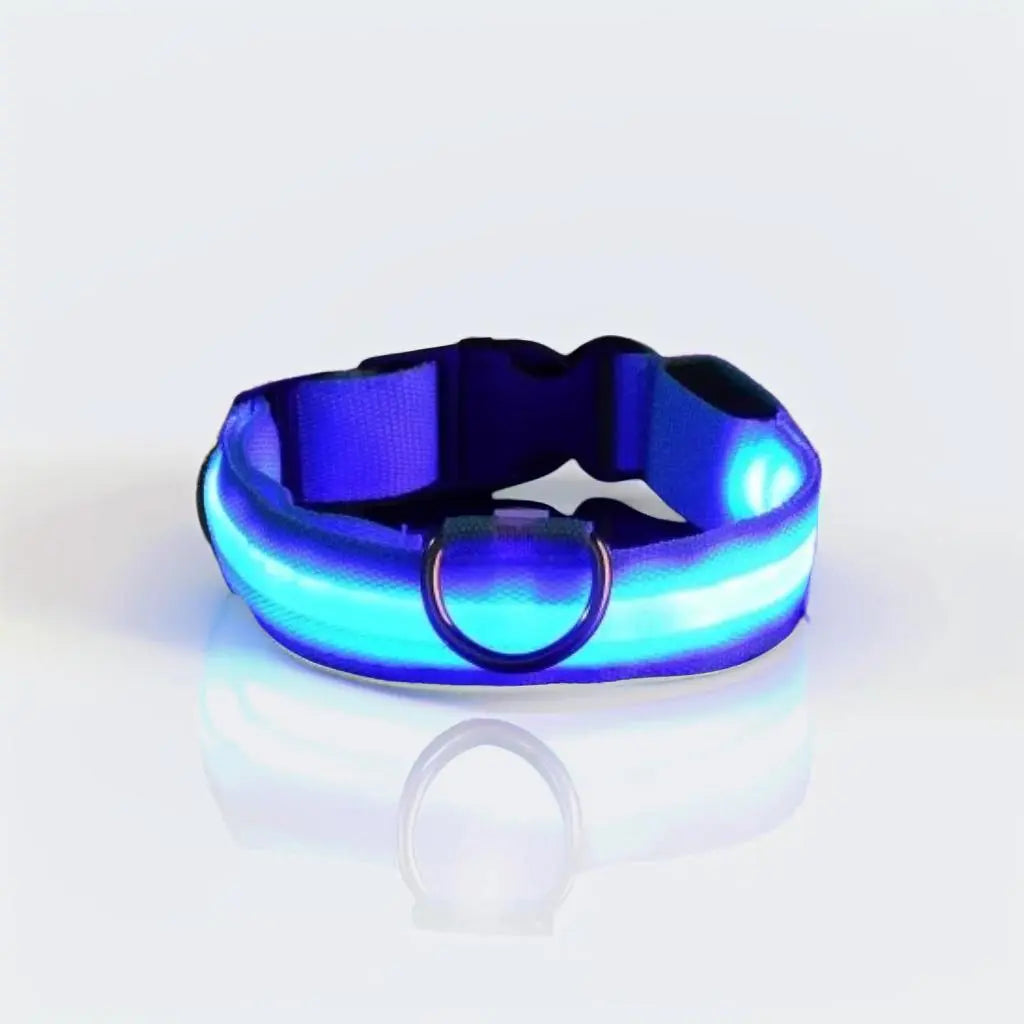 Collar luminoso