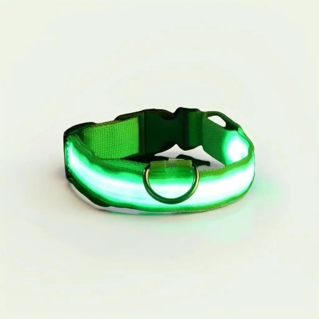 Collar luminoso