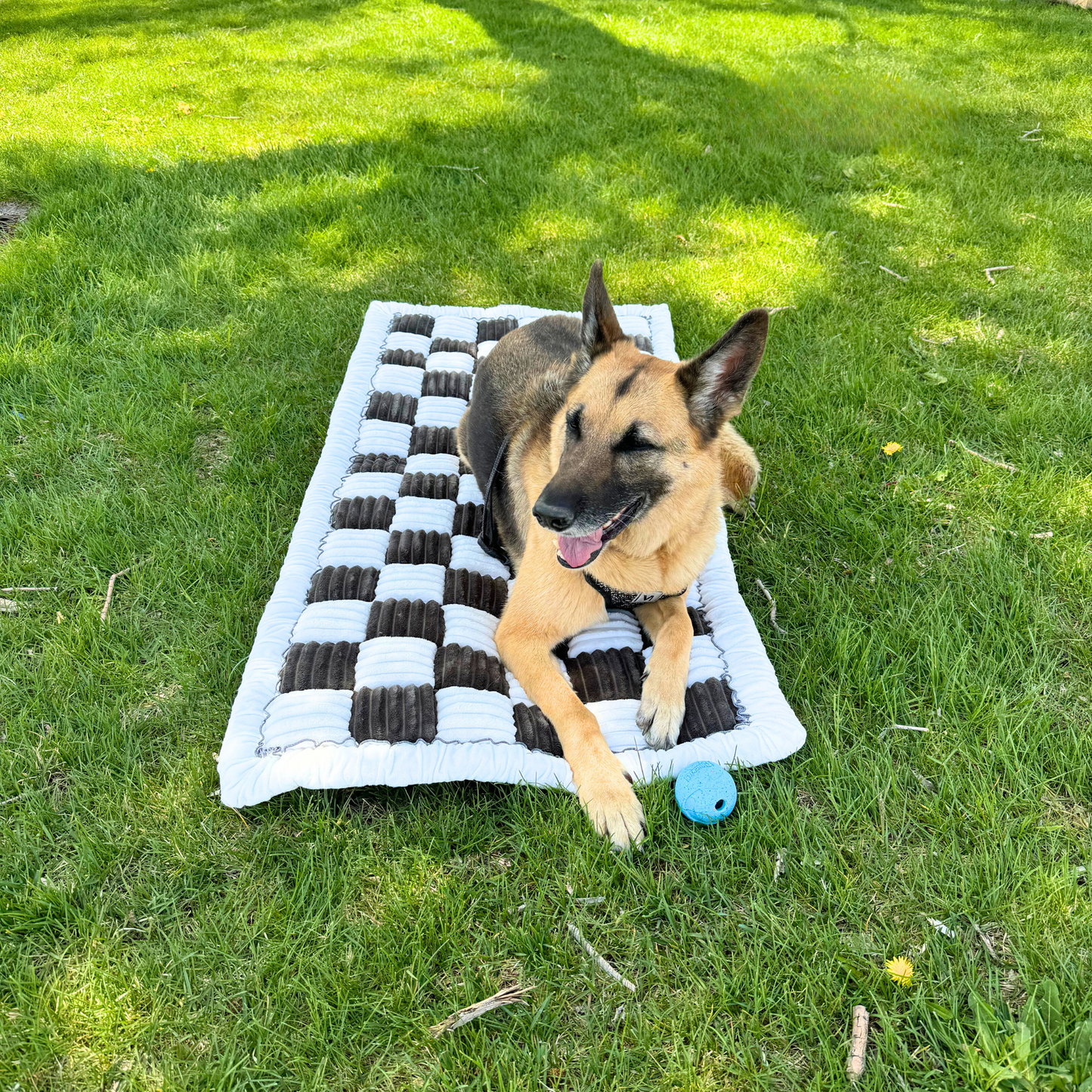 Deluxe Dog Bed - for the Backseat Extender