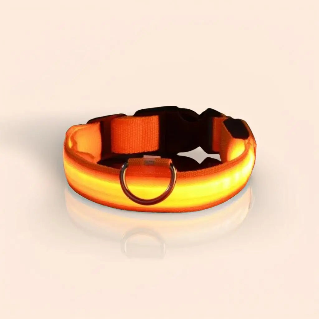 Collar luminoso