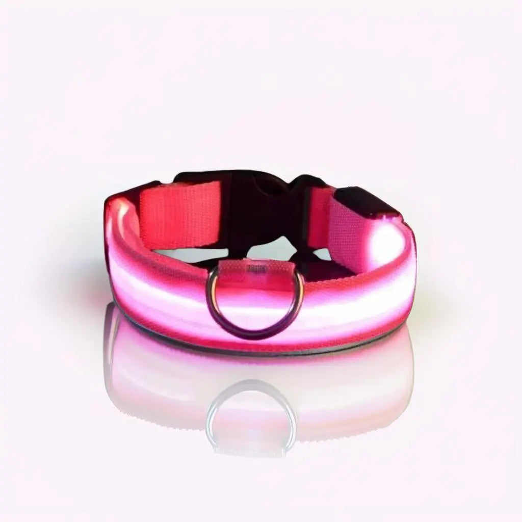 Collar luminoso