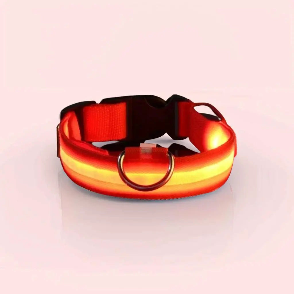 Collar luminoso