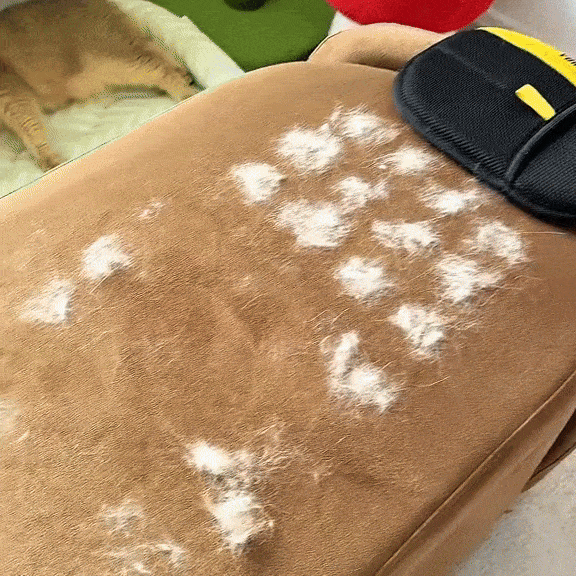 Petshavn Glove™