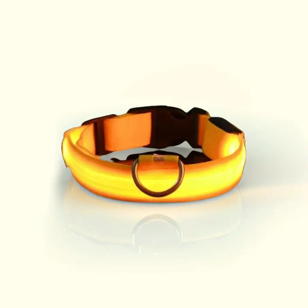 Collar luminoso