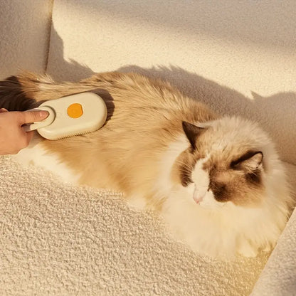 Steambrush