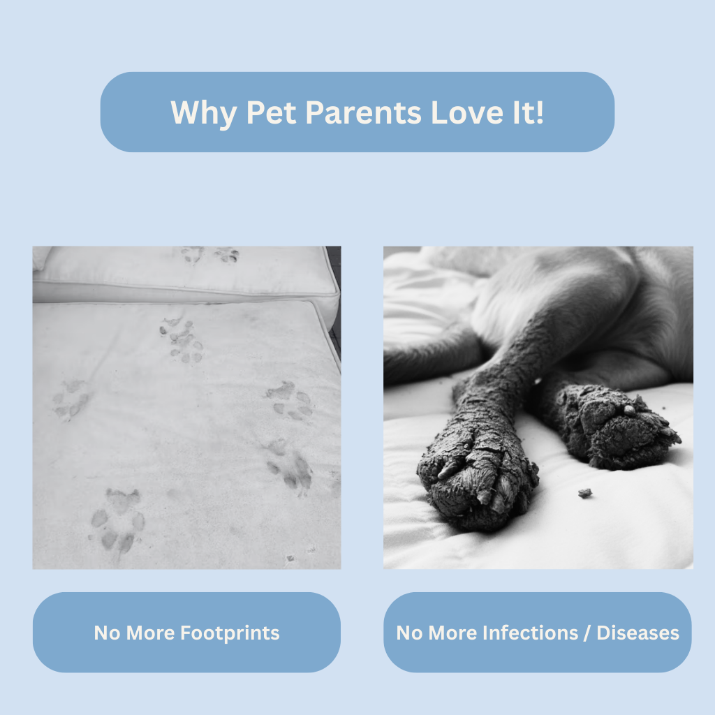 Automatic Paw Cleaner