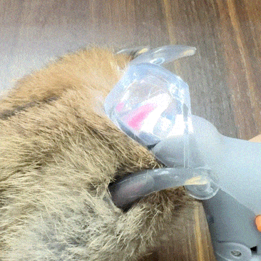 ClearCut™ LED Nail Clipper