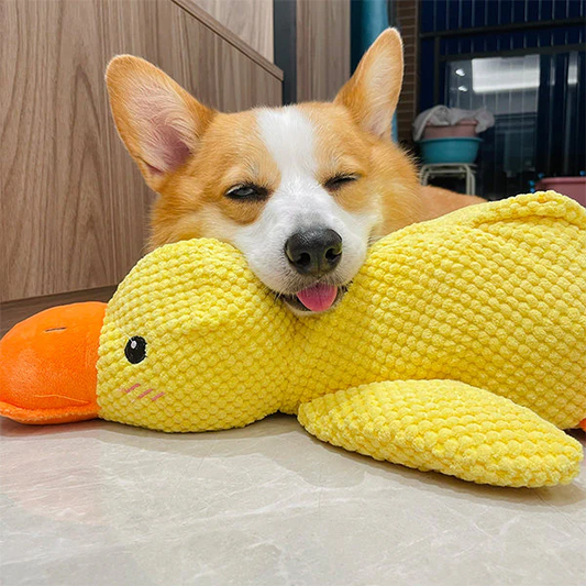 Corduroy Plush