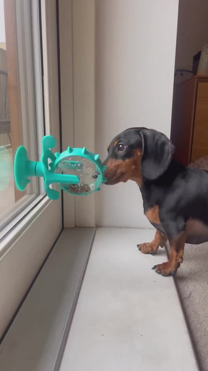 Snackwheel 2.0™